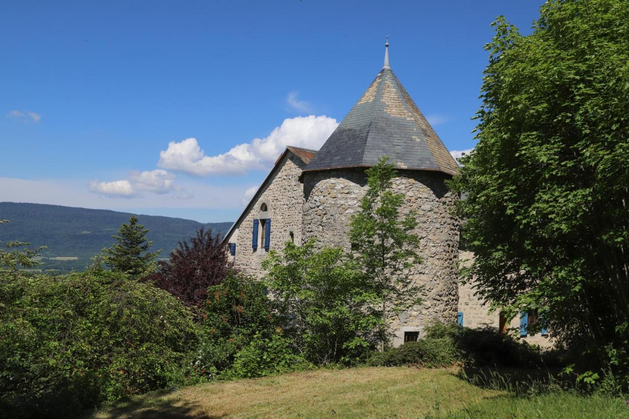Chateau De Sothonod Esterno foto
