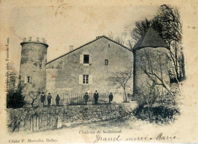 Chateau De Sothonod Esterno foto